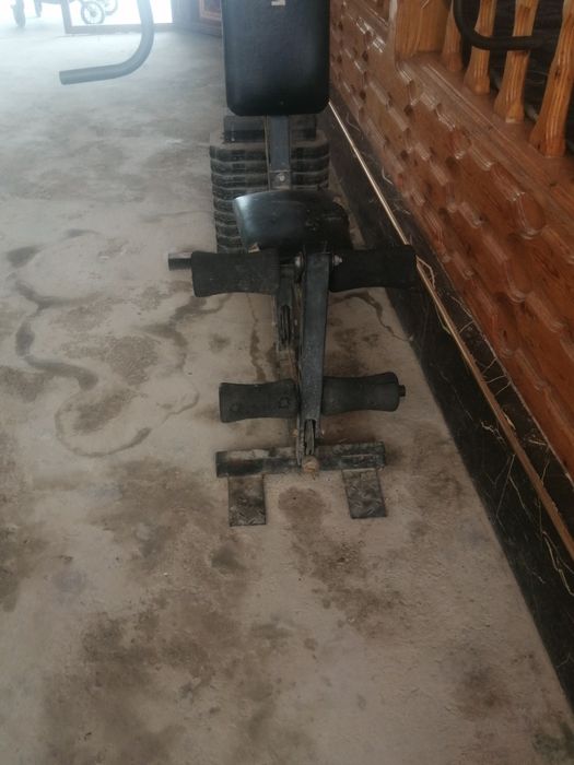 Trinajor, begavoy darojka 2tasi birda