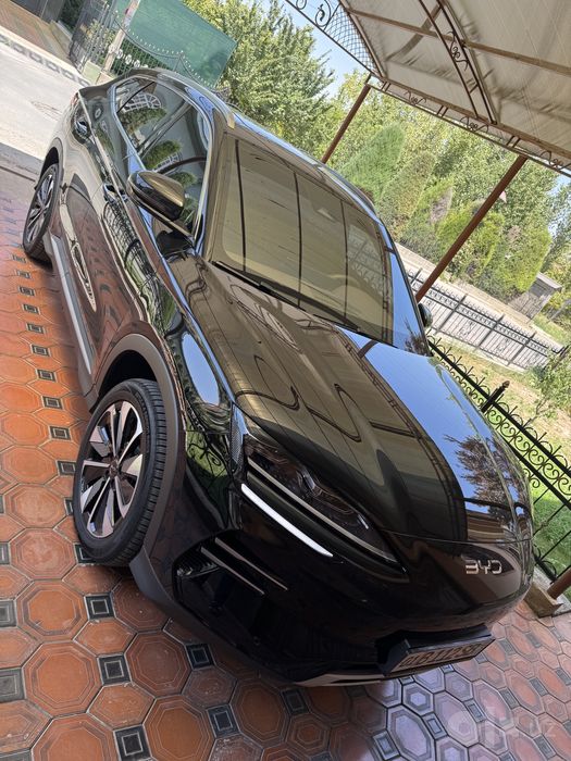 Byd chempion restyling 605