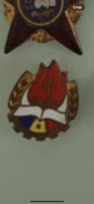 Medalii si insigne