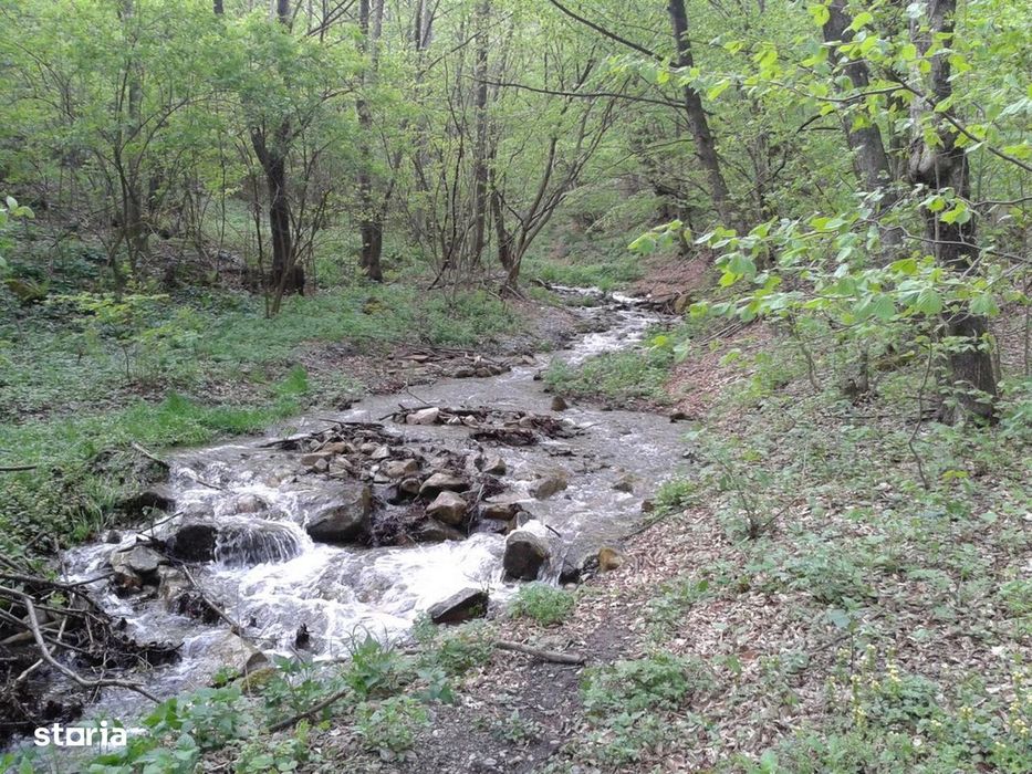 Proprietate rară în inima Retezatului – 5.700 mp teren intravilan