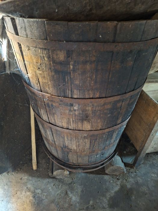 Vând putini/brădoi diferite categorii si greutate de stejar sanatoase cei interesati sa sune!! Nu deranjati inutil 0771616567 raspund si pe whatsapp