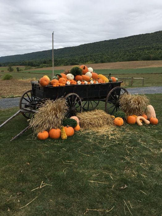Decorațiune de căruța