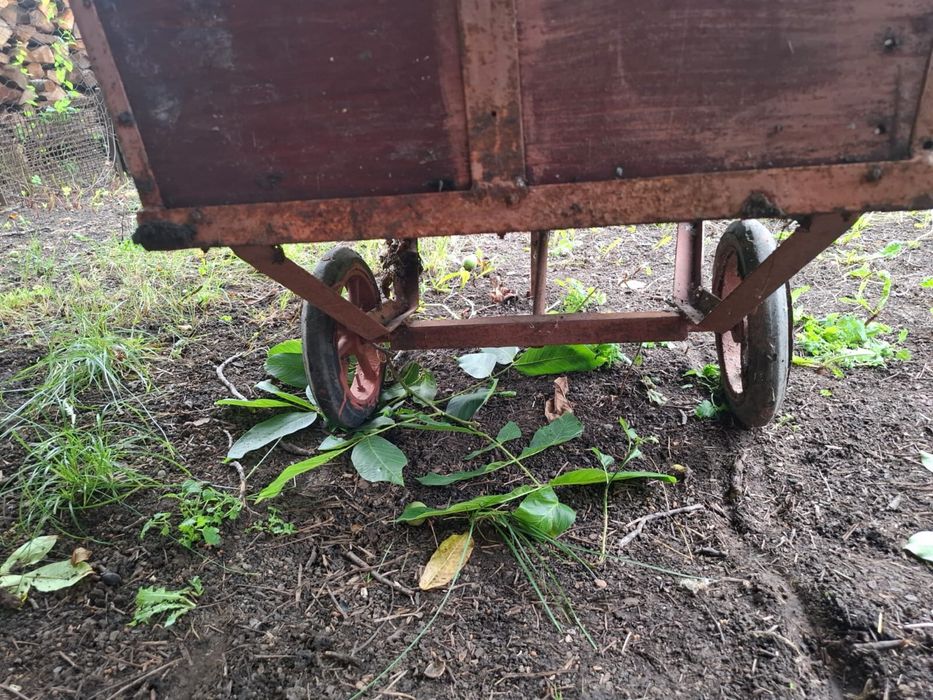 Carut de transport