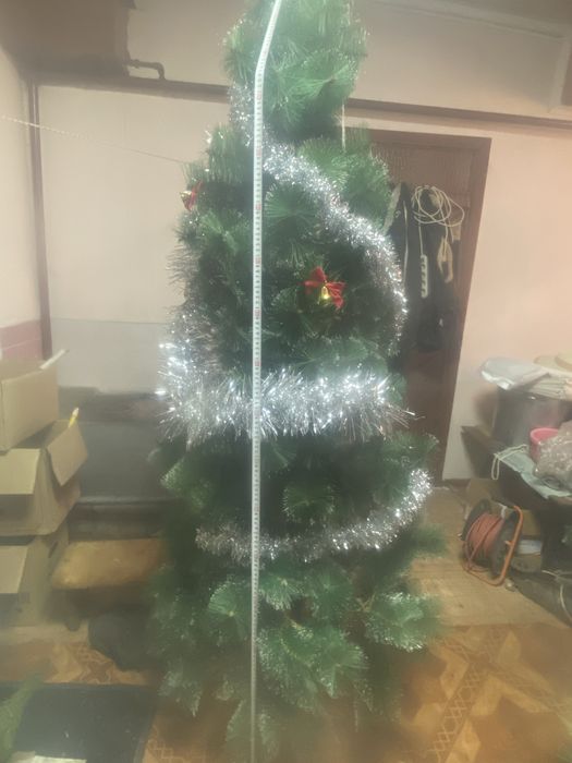 Елка с доставкой домой