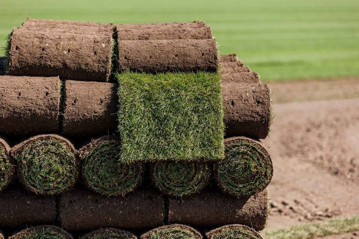 Рулонный живой газон от пройзводителя