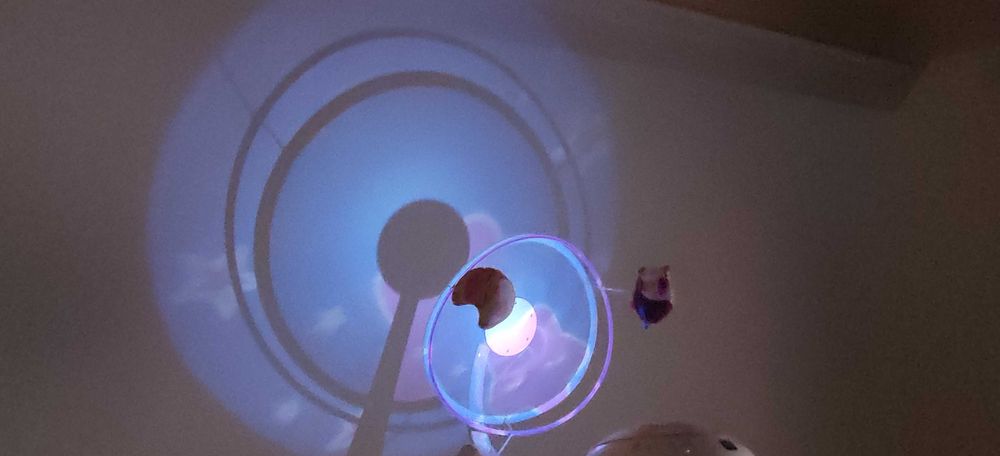 Музикална въртележка за кошара CHICCO