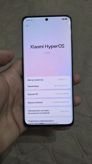 Xiaomi  12 8/256