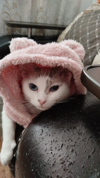 Отдам в хорошие руки!!!