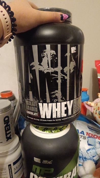 Белковые протеины