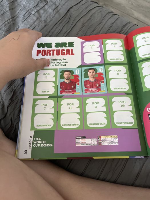 Catalog panini abtibilduri