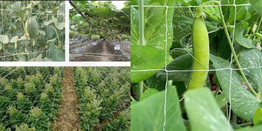 Plasa pentru castraveti, rosii, vita de vie, dovleci. 1,67 × 5m Noua!