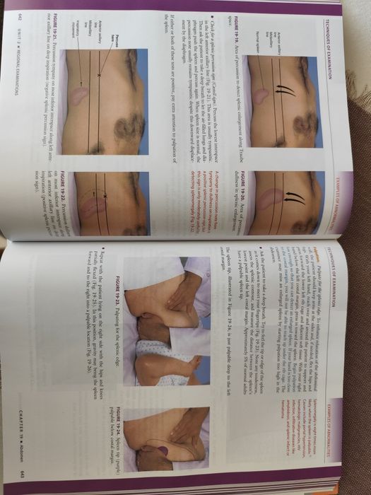 Пропедевтика на вътрешни болести, Physical examination
