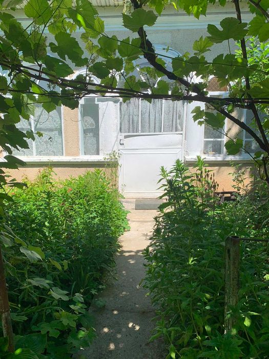 teren cu casa intravilan de vanzare