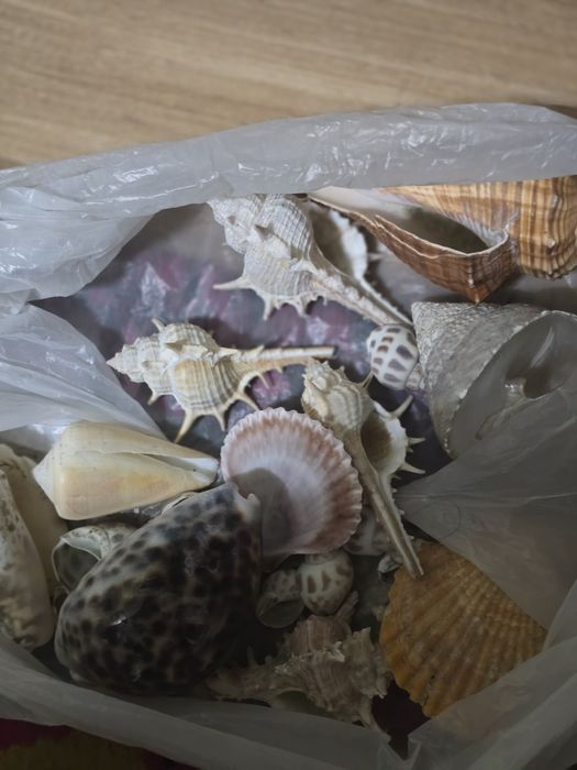 Аквариум 35-40 л