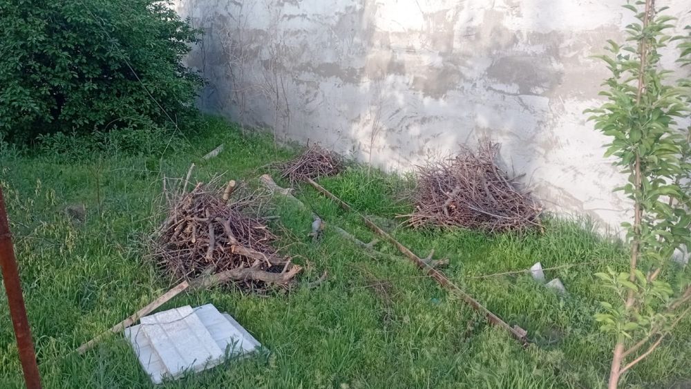 Тегін!!! Жағатын дайын отын!!!