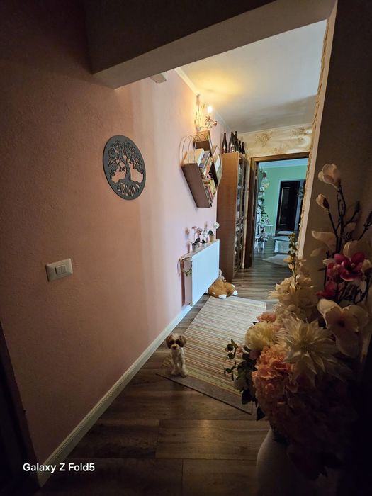 Apartament 3 camera _complect renovat