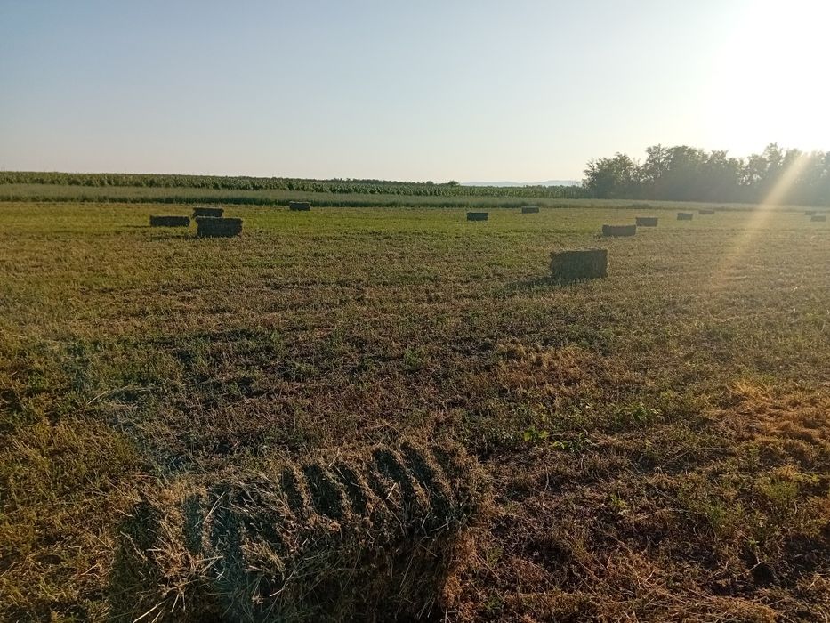 Vand Baloti lucerna ,coasă a 3,