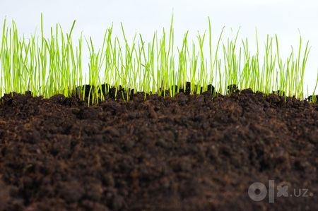биогомус Чернозем Уневерсал Оптом Цена