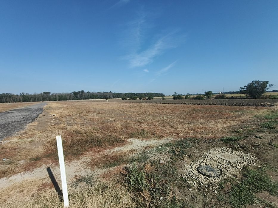 Teren Magurele,  Pruni, intravilan