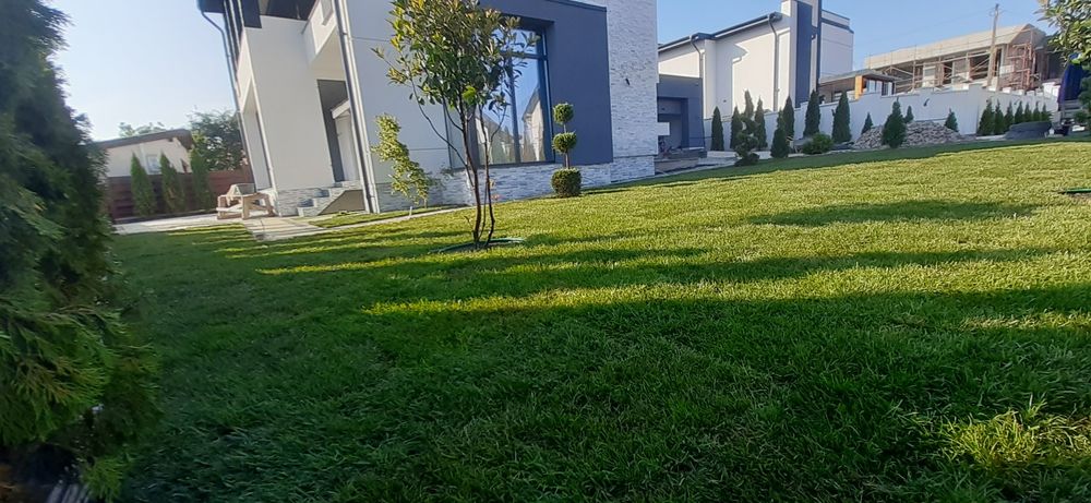 Gazon rulou, amenajare și întreținere spatii verzi!!!