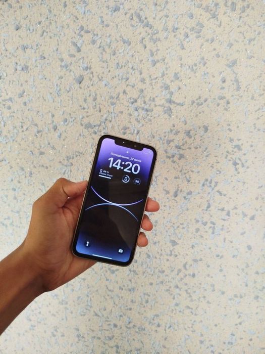 Iphone xr 15 pro corpust