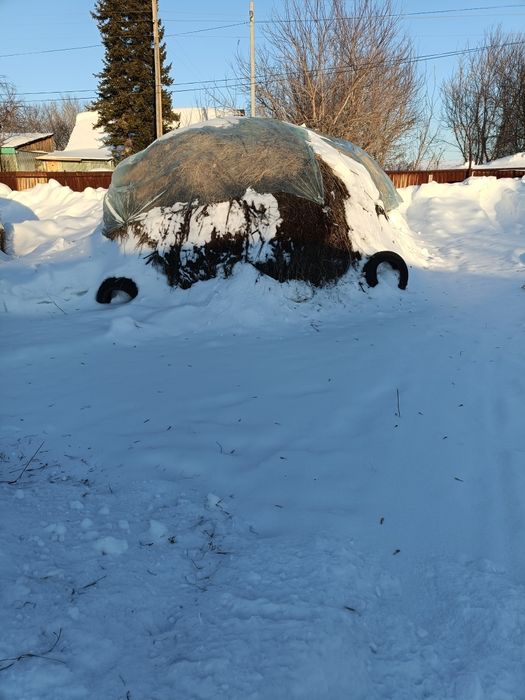 Продам сено в тюках