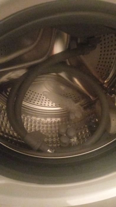 Стиральная машина Haier