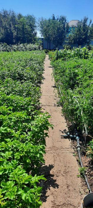 Продам дачу,район Акжар 2