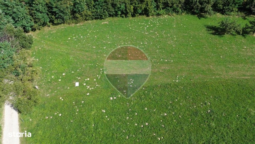 Teren 3,000mp Predelut / Strada Pe Tarina