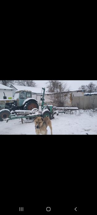 Трактор косилка тырмасымен бар сатылады