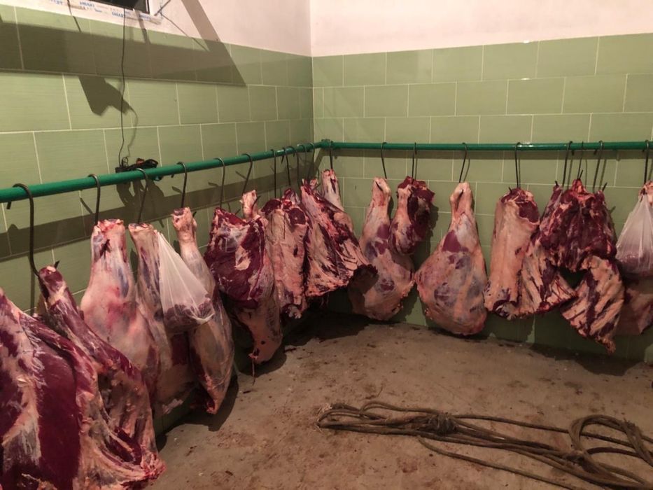 Продам Крестьянское хозяйство