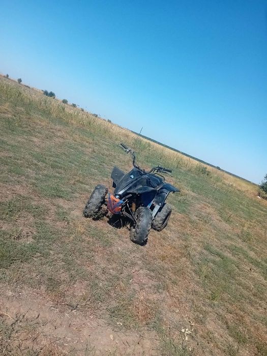 atv 110 cc schimb