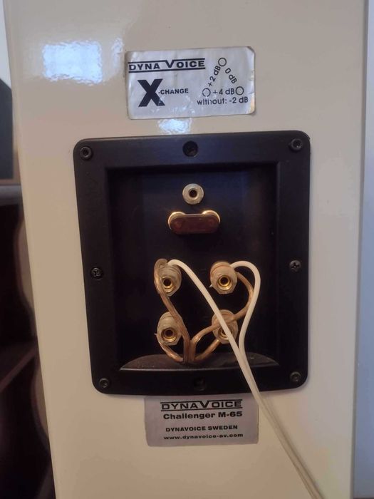 Boxe Dyna Voice Challenger M-65