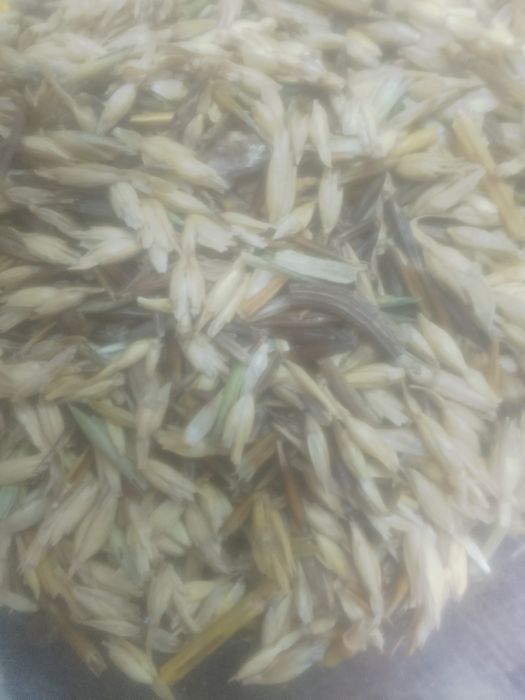 Отходы Полова отруби Овёс с мучкой