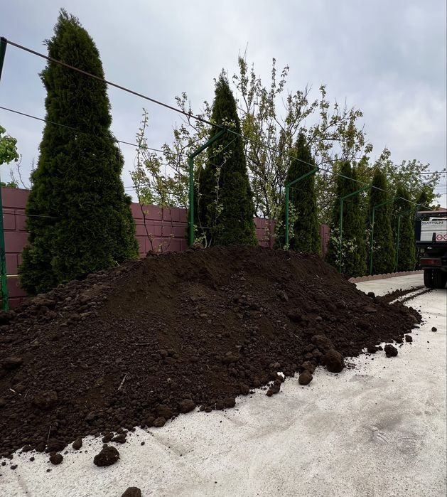 Pământ negru vegetal pentru pomi flori si gradina