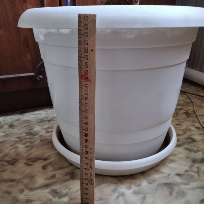 Цветы комнатные в горшках.