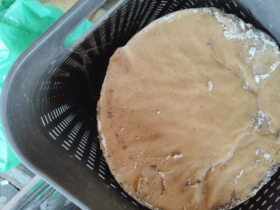 Ceară de albine naturala