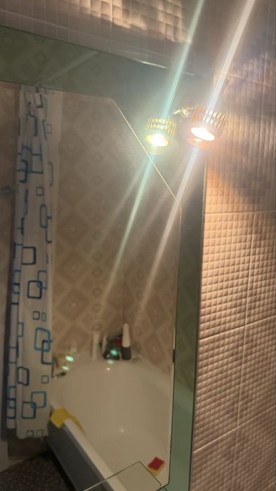 Тюльпан с зеркалом
