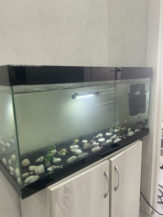 срочно! недорого !продам аквариум