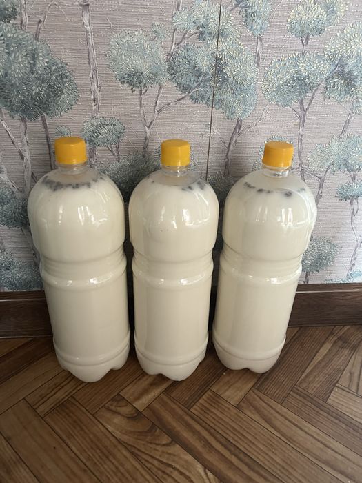 Қымыз Жаңаарқа свежий