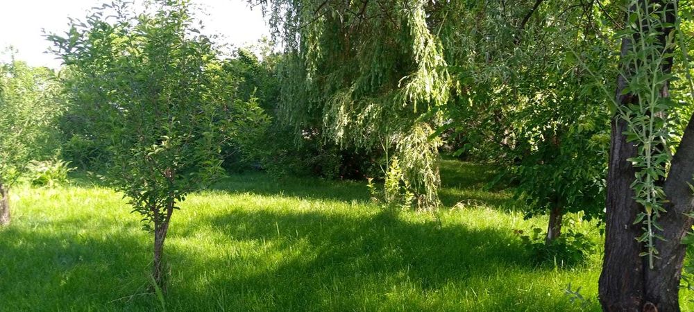Продам дом  с участком 12 соток