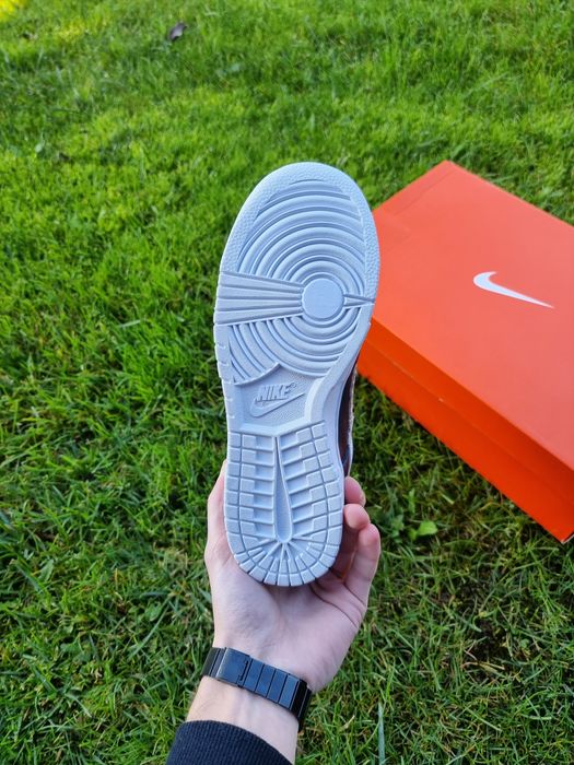 Nike dunk low SE Primal