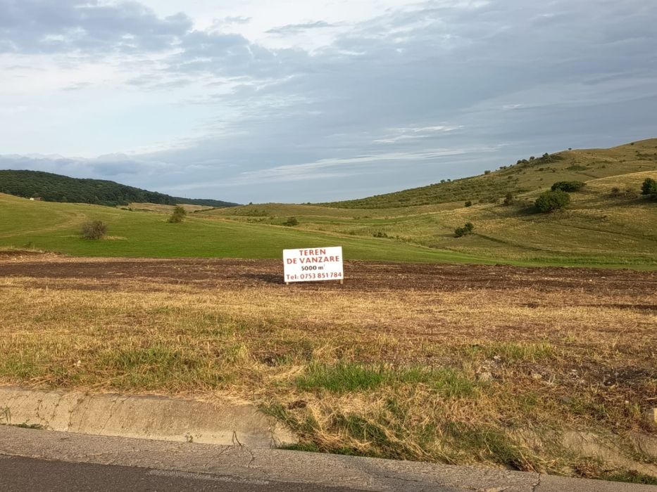 Teren construibil intravilan 5.000 mp parcelat în 2400mp + 2000mp cu drum- Piatra Neamț