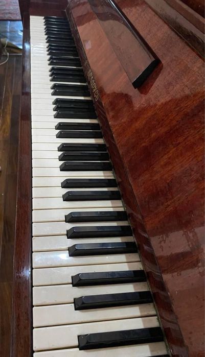 продается пионио