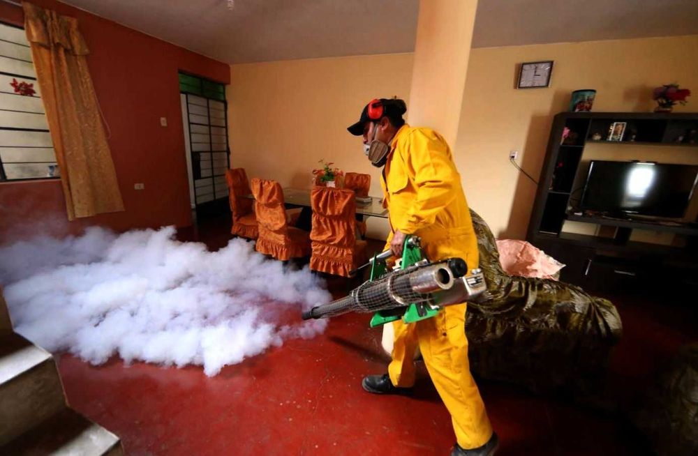 Обработка от клопов тараканов, блох, плесени, муравьев, запахов, мышей ...