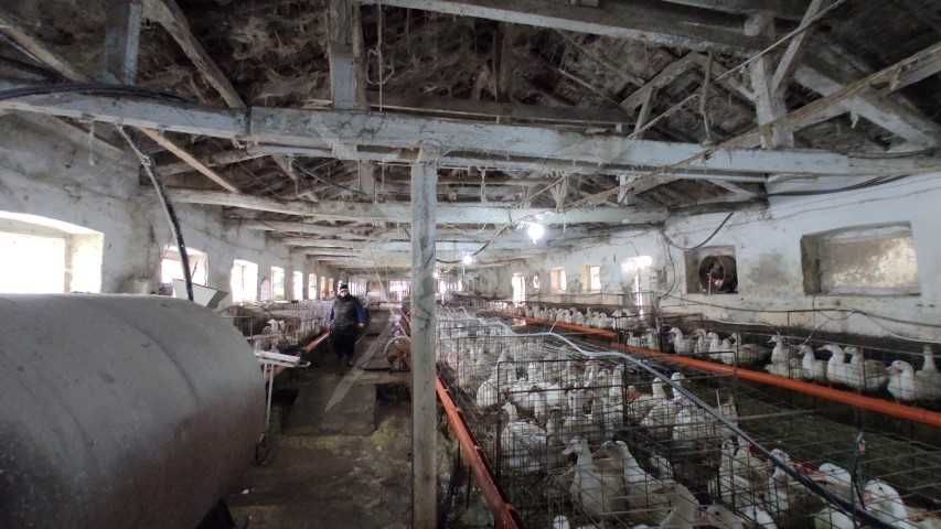 Ферма в село Отец Кирилово 66490