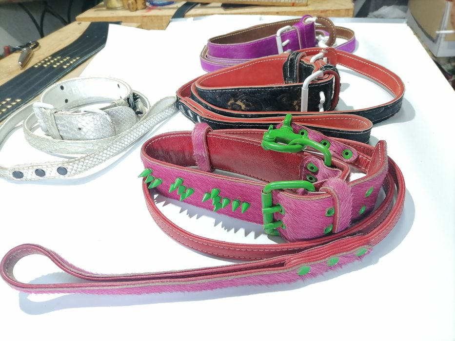 Кучешки каишки с повод