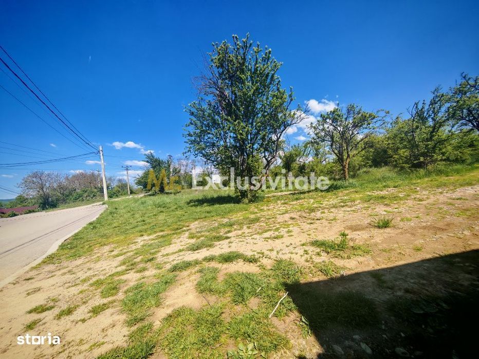 Teren central 2000 mp intravilan Mioveni