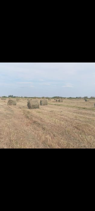 Продам сено луговое в рулонах