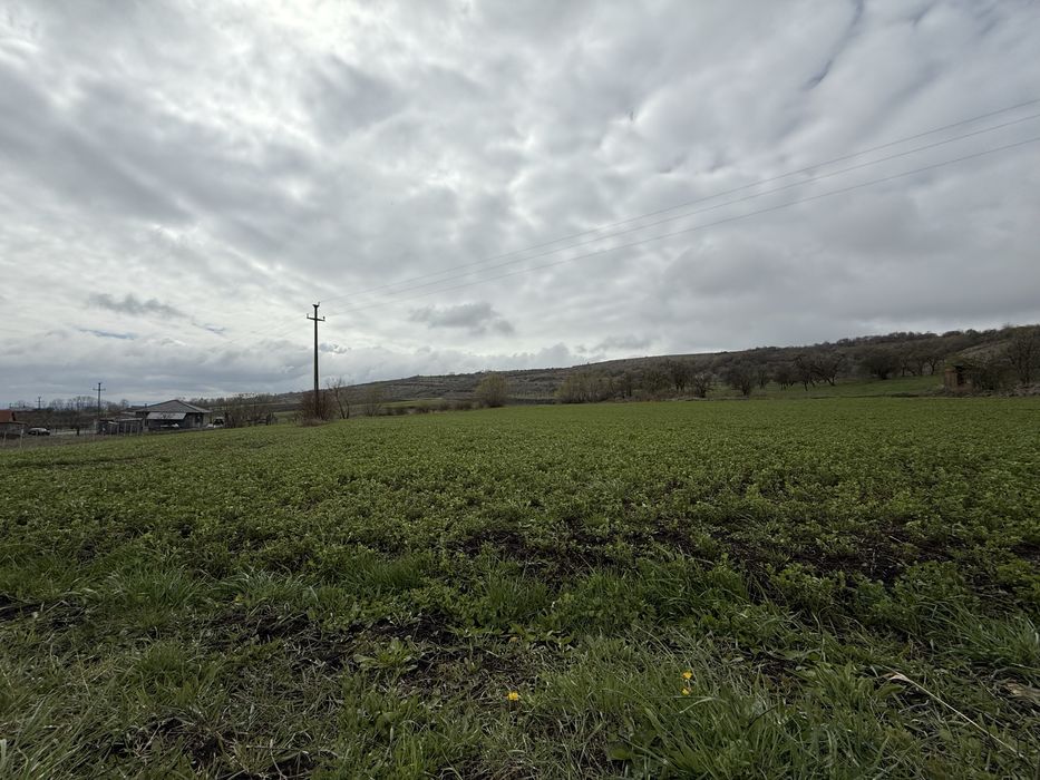 Vand teren Valea Chintaului Mun Cluj Napoca